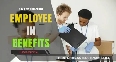 Exploring Non-Monetary Compensation Options for Nonprofit Employees