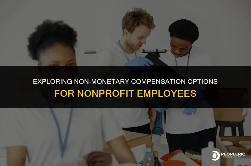 can i pay non-profit employee in benefits