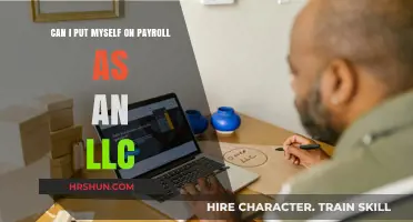 Can I Put Myself on Payroll as an LLC Owner?