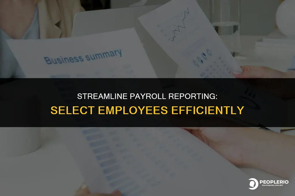 can i run a payroll summary report selecting the employees