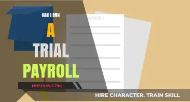 Exploring Trial Payroll Options: A Comprehensive Guide for Businesses