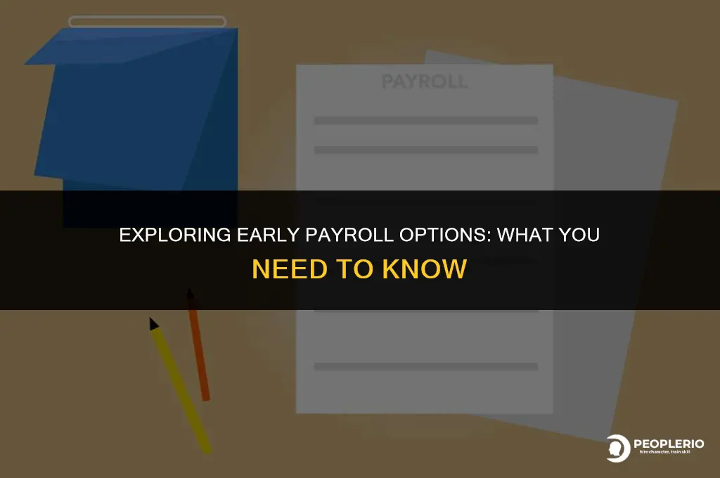 can i run payroll early