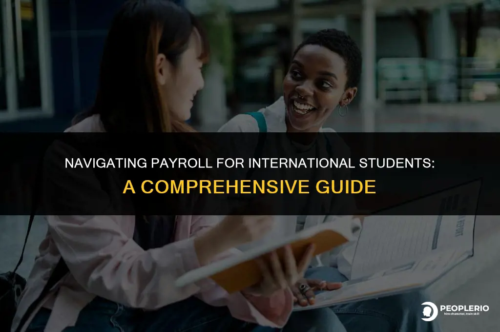 can i run payroll for international students