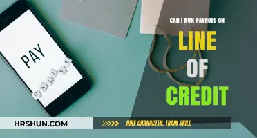 Streamlining Payroll: Exploring Online Credit Options for Business Owners