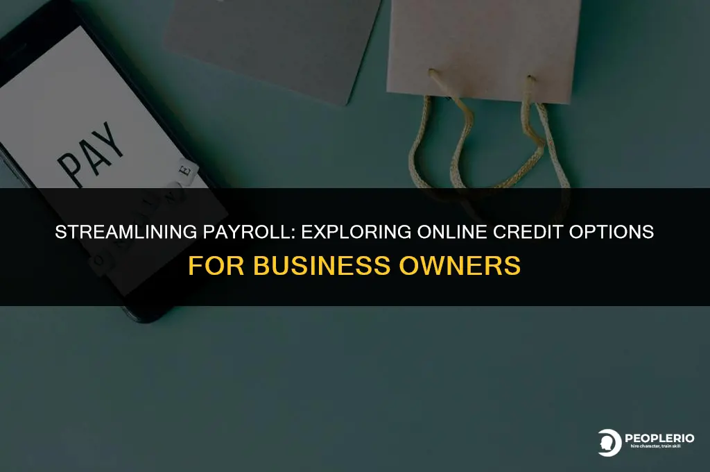 can i run payroll on line of credit
