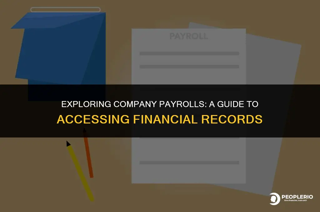 can i search the payroll of a company