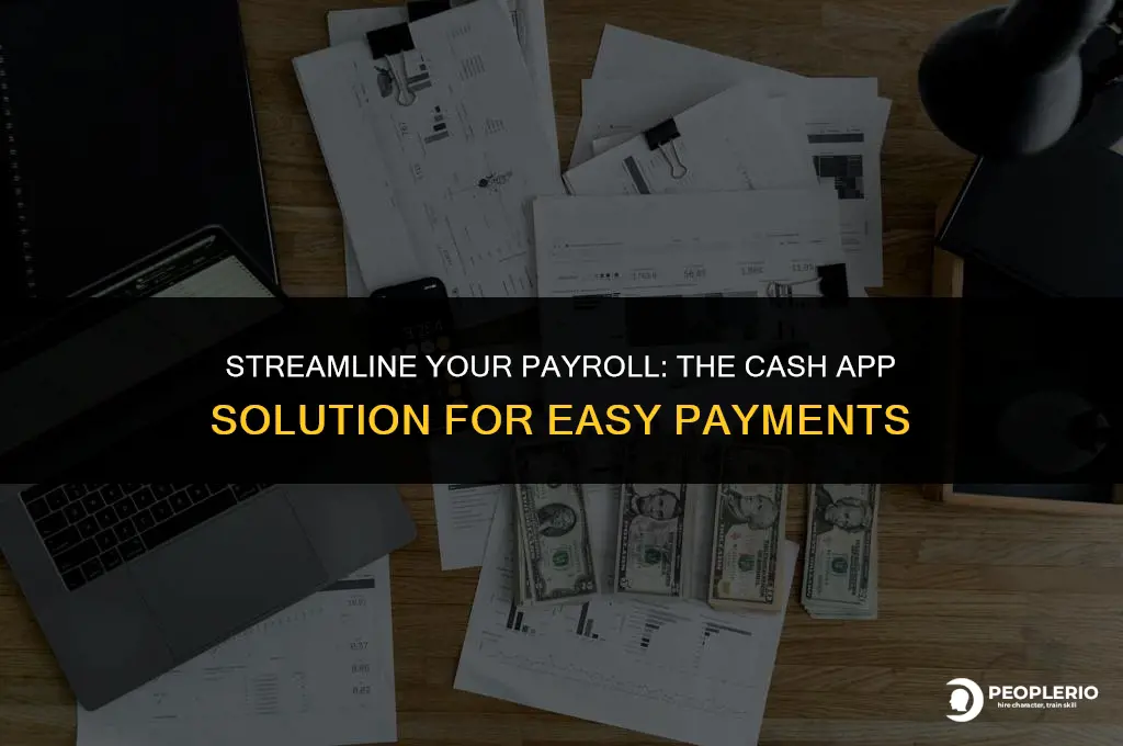 can i send payroll with cash app