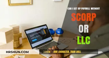 Navigating Payroll Setup Without an LLC or SCorp: A Comprehensive Guide