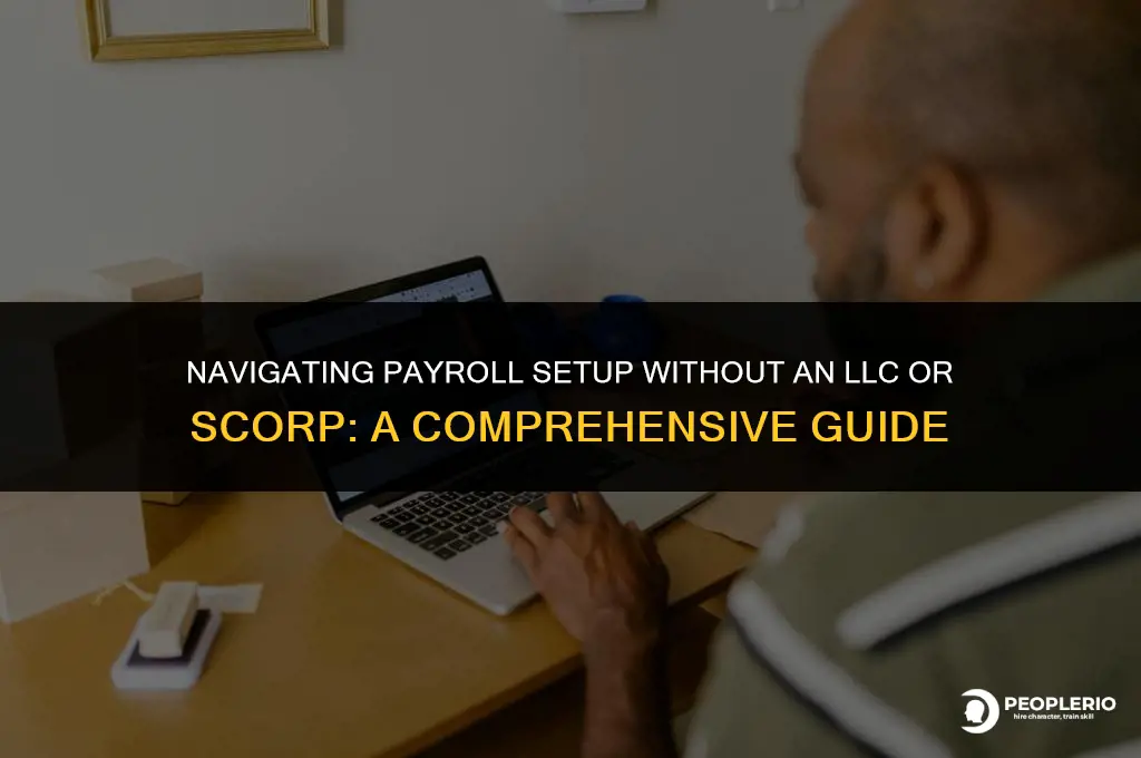can i set up payroll without scorp or llc