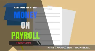 Maximizing PPP Funds: Payroll Expenses and Beyond