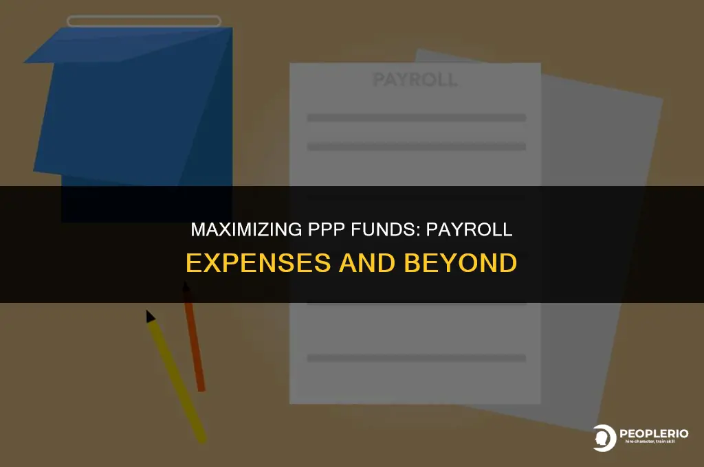 can i spend all my ppp money on payroll