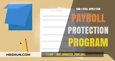 Navigating the Payroll Protection Program: Eligibility and Application Insights