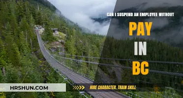 Navigating Employee Suspension Without Pay in British Columbia