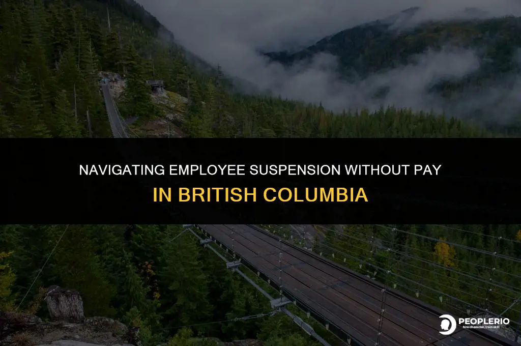 can i suspend an employee without pay in bc