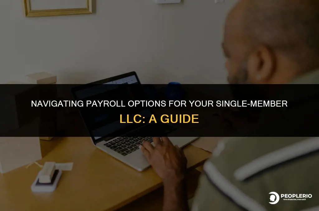 can i take payroll from my single member llc