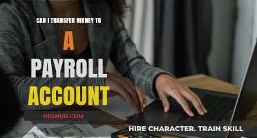 Seamless Money Transfers: Payroll Accounts Made Easy