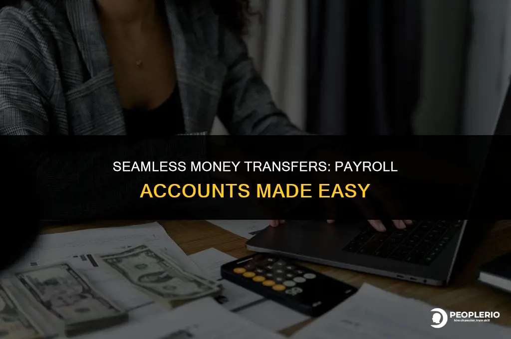 can i transfer money to a payroll account