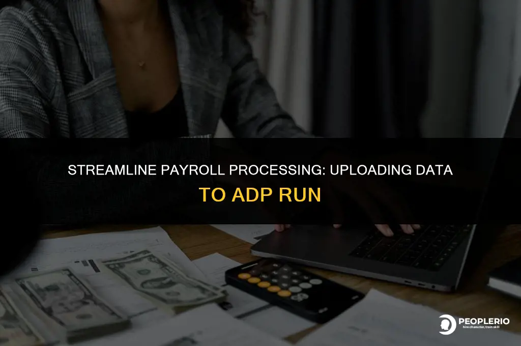 can i upload payroll data to adp run