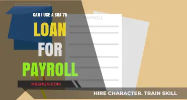 Exploring SBA 7(a) Loans: A Payroll Funding Option?