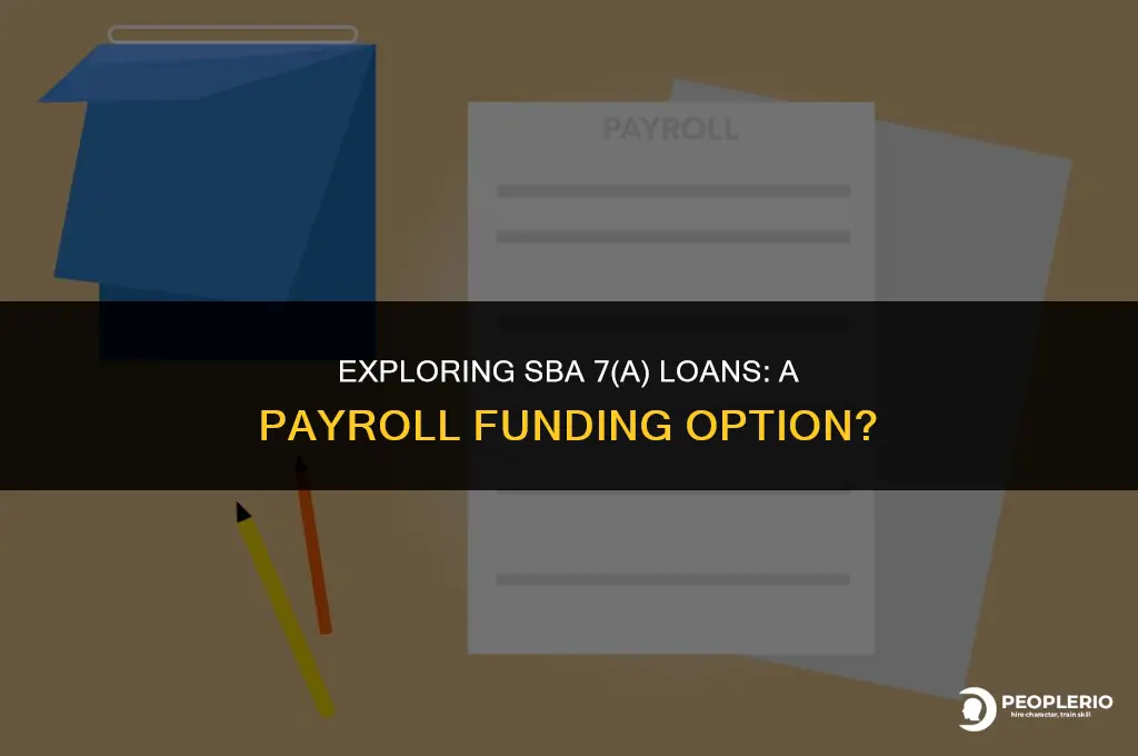 can i use a sba 7a loan for payroll
