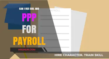 Navigating Payroll Costs: EIDL and PPP Loan Options Explored