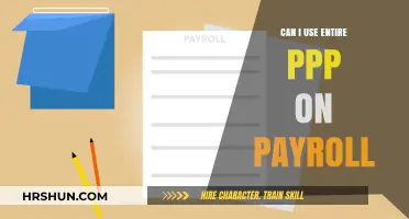 Maximizing PPP Funds: Can You Allocate the Entire Amount to Payroll?