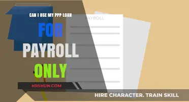 Navigating PPP Loans: Payroll-Only Usage Explained