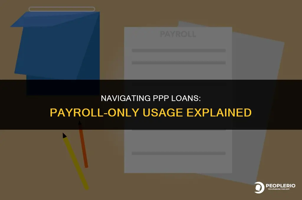 can i use my ppp loan for payroll only