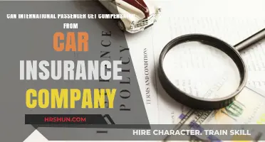 Navigating Compensation Claims: A Guide for International Passengers and Car Insurance