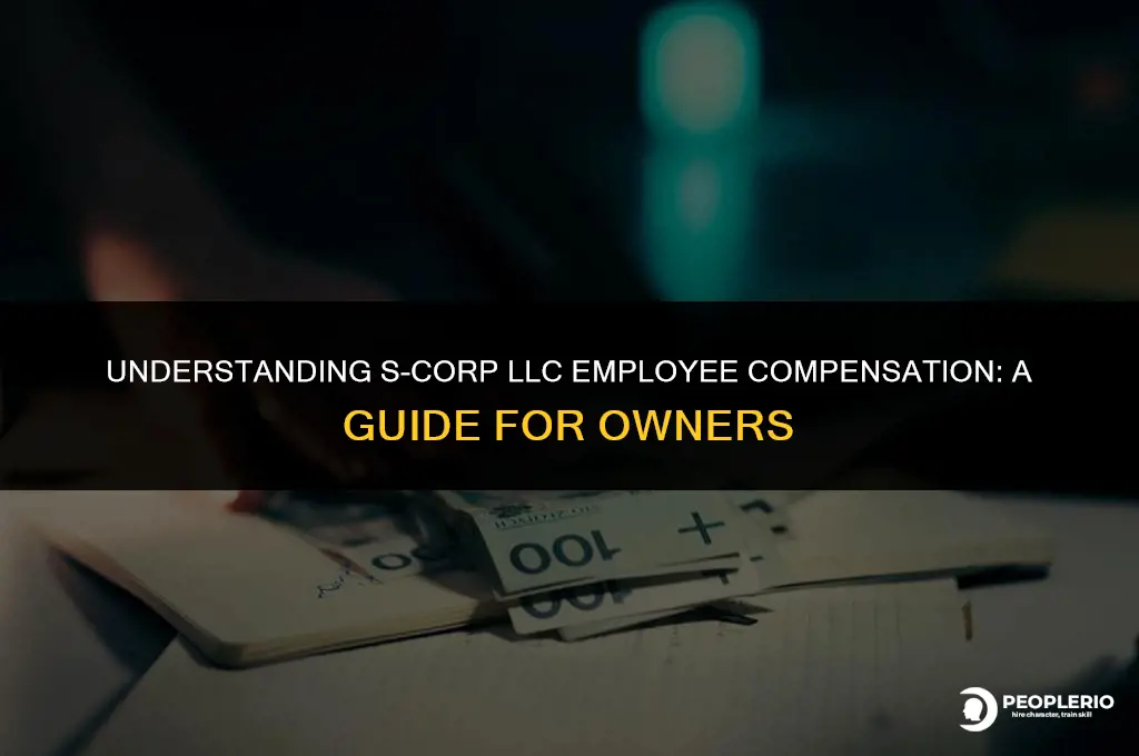 can my s-corp llc pay me as an employee