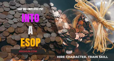 Exploring ESOPs: Can One Employee Pay Into a Company's Plan?