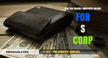Navigating Salary Adjustments for S Corp Employees: A Guide