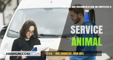 Understanding Service Animal Documentation Requests in the Workplace