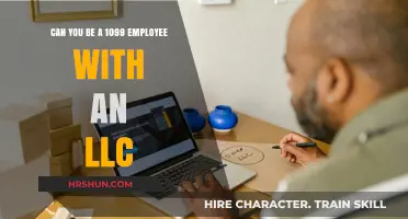Navigating 1099 Employment with an LLC: What You Need to Know