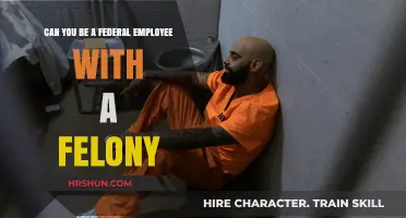 Navigating Federal Employment with a Felony: Know Your Rights and Options
