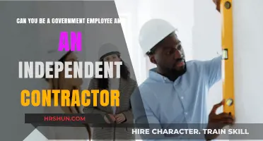 Balancing Act: Government Employment and Independent Contracting