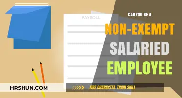 Understanding Non-Exempt Salaried Employee Status: A Comprehensive Guide