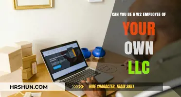 Exploring the Possibilities: Can You Be a W-2 Employee of Your Own LLC?
