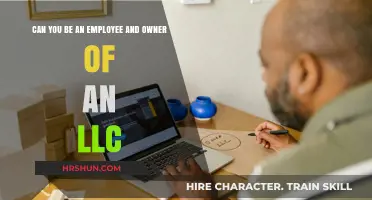 Exploring Dual Roles: Employee and Owner in an LLC