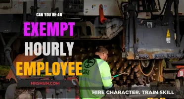 Understanding Exempt Hourly Employees: A Comprehensive Guide