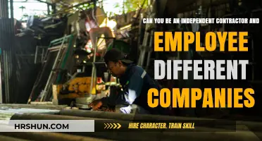 Balancing Act: Independent Contracting and Employment Across Companies