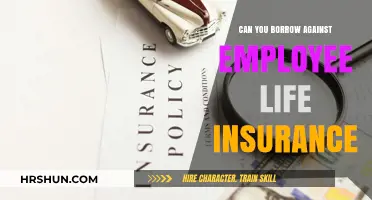 Unlocking Financial Flexibility: Borrowing Against Employee Life Insurance