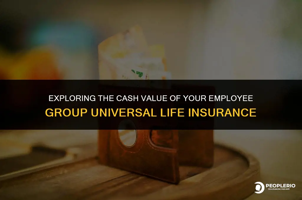 can you cash in your employee group universal life insurance
