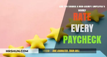 Flexibility in Pay: Altering Hourly Rates for Non-Exempt Employees