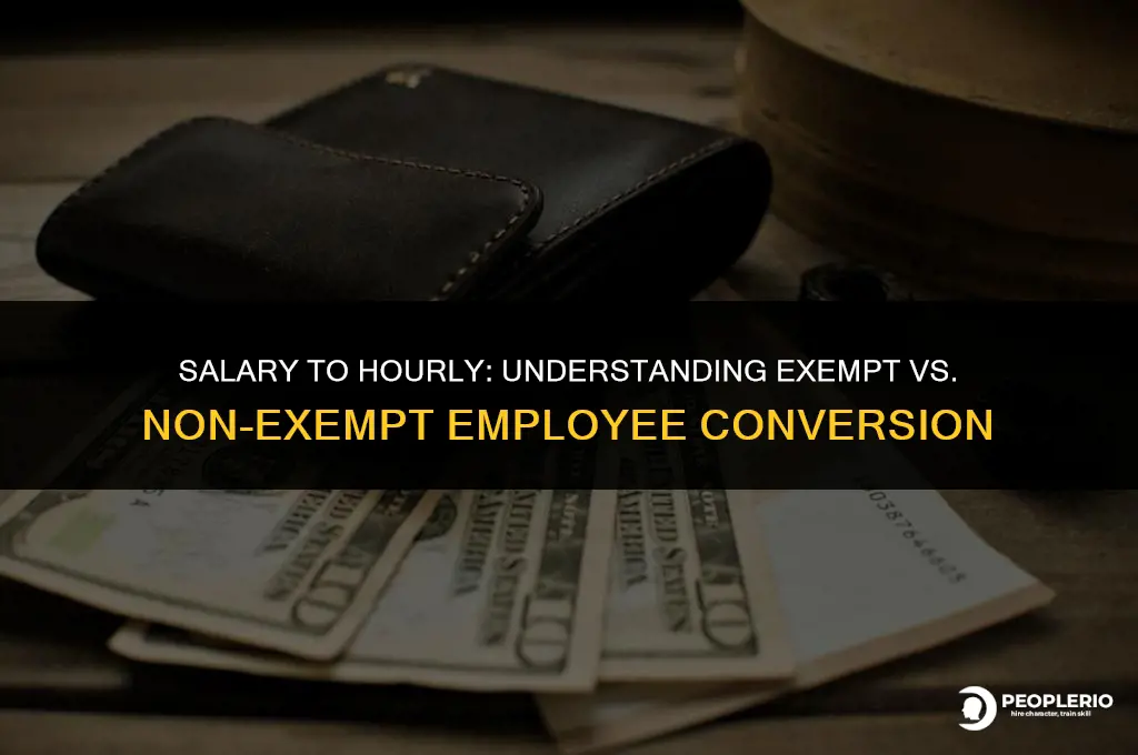 can you change salary employee to hourly exempt vs non-exempt