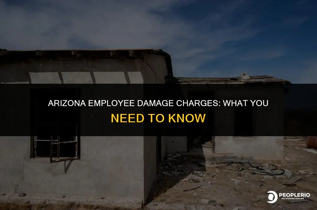can you charge an employee for damage arizona