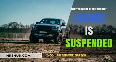 Verifying Employee Licenses: A Guide to Suspension Checks