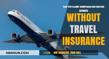 Claiming Compensation from British Airways: Possible Without Travel Insurance?