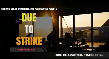 Navigating Compensation Claims for Strike-Induced Flight Delays