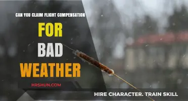 Navigating Flight Compensation: Understanding Your Rights Amidst Weather Woes